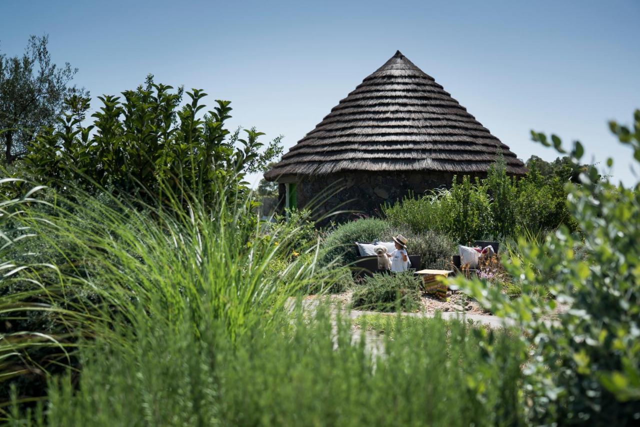 Is Cheas Wine Farm Boutique Hotel San Vero Milis Екстер'єр фото