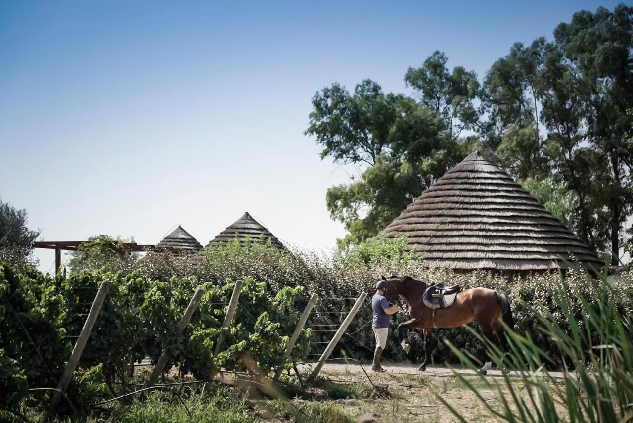 Is Cheas Wine Farm Boutique Hotel San Vero Milis Екстер'єр фото