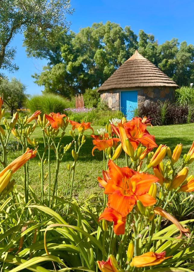 Is Cheas Wine Farm Boutique Hotel San Vero Milis Екстер'єр фото