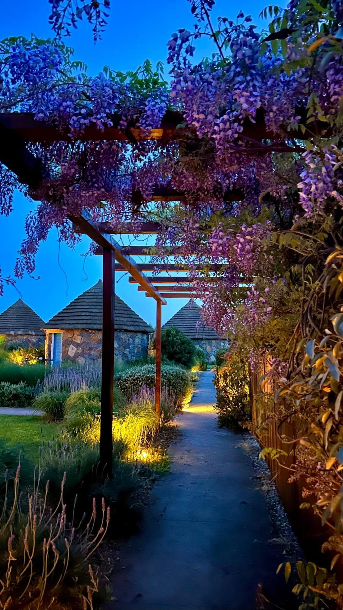 Is Cheas Wine Farm Boutique Hotel San Vero Milis Екстер'єр фото