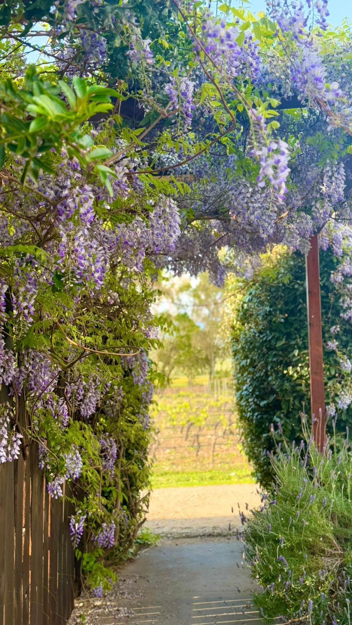Is Cheas Wine Farm Boutique Hotel San Vero Milis Екстер'єр фото